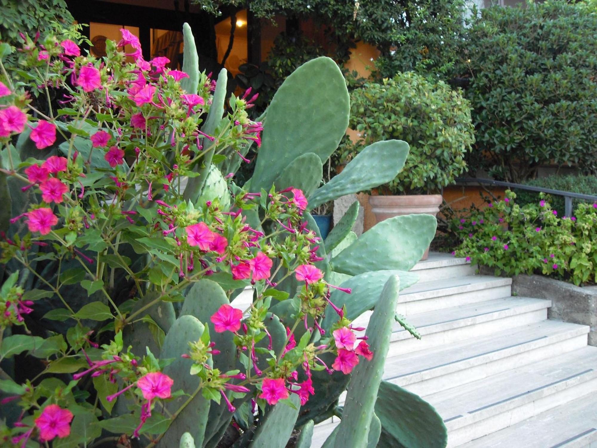 Hotel Il Casale Trevignano Romano Exterior photo